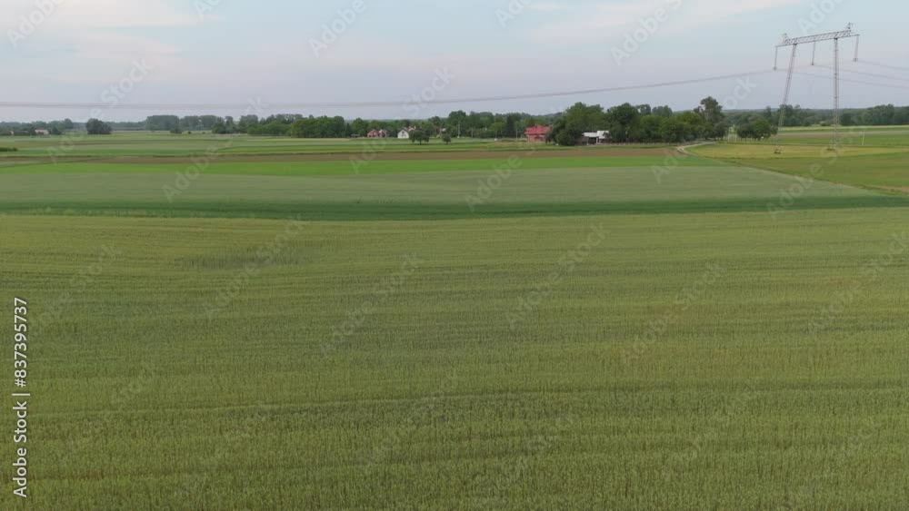 Aerial drone view of green wheat field, Poland. Aerial drone view of green wheat field, Poland.