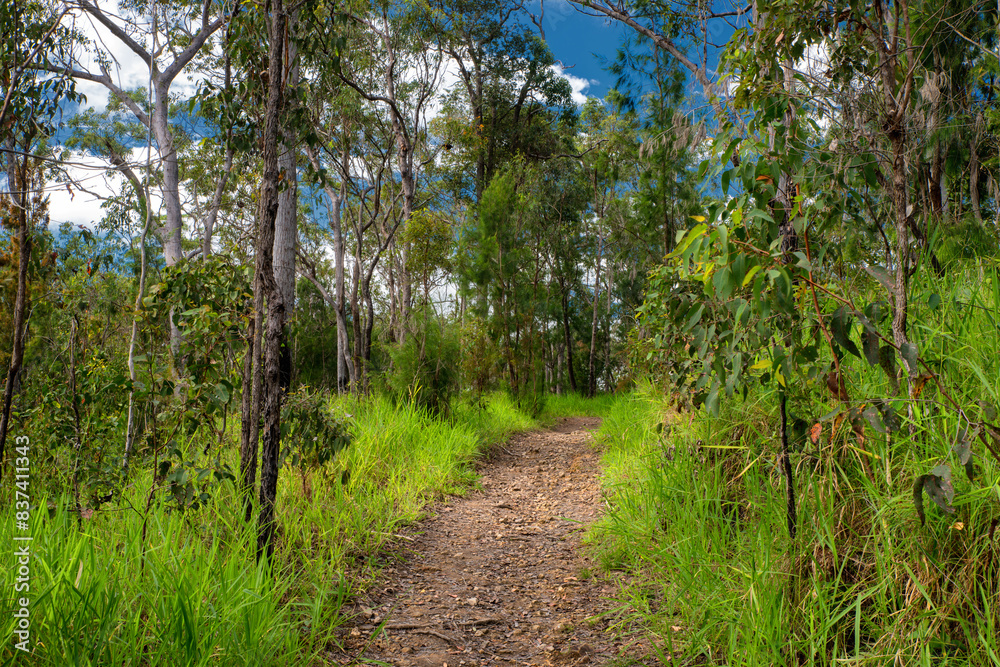 Adventure: Woodland Walk near Atherton Town Centre Adventure: Woodland Walk near Atherton Town Centre