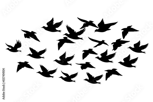 flock of birds silhouette vector illustration
