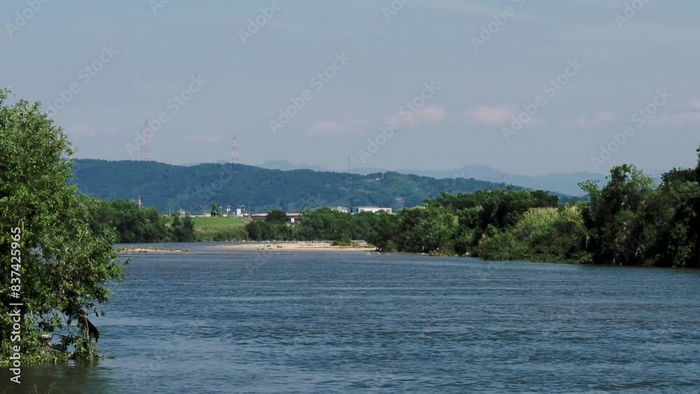 緑が鮮やかな夏の大和川沿いの風景