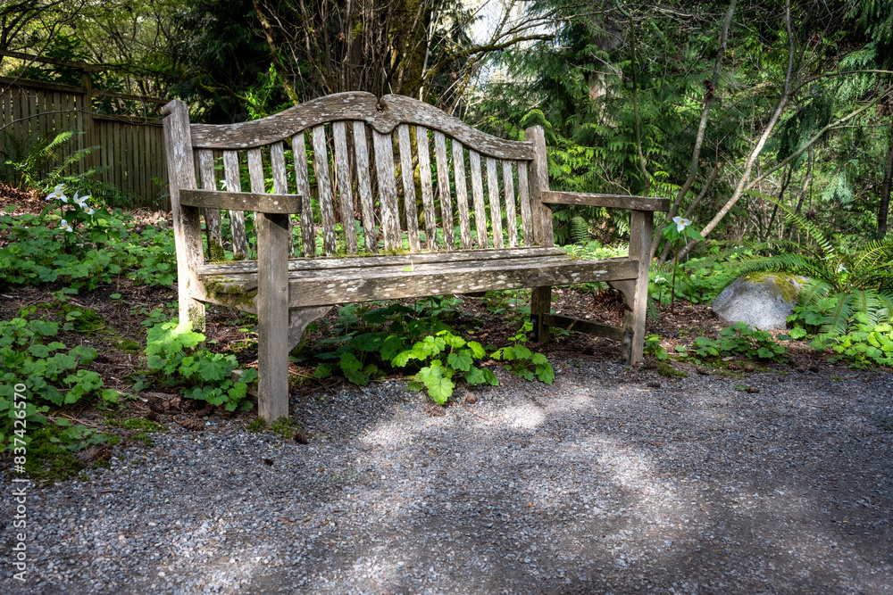 Weathered classic wood seat bench with backrest outside in a woodland garden, peaceful place for rest and contemplation
