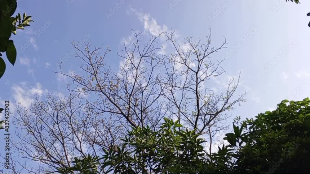 Wonderful nature view in country side Wonderful nature view in country side