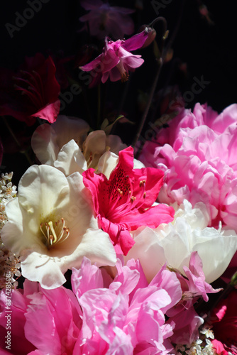 Flowers. Blumen