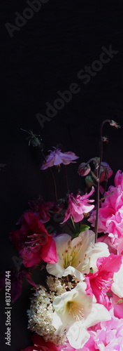 Flowers. Blumen