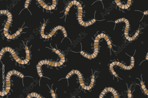 Vector seamless pattern with scary centipedes on the black background. Texture with cartoon julida. photo