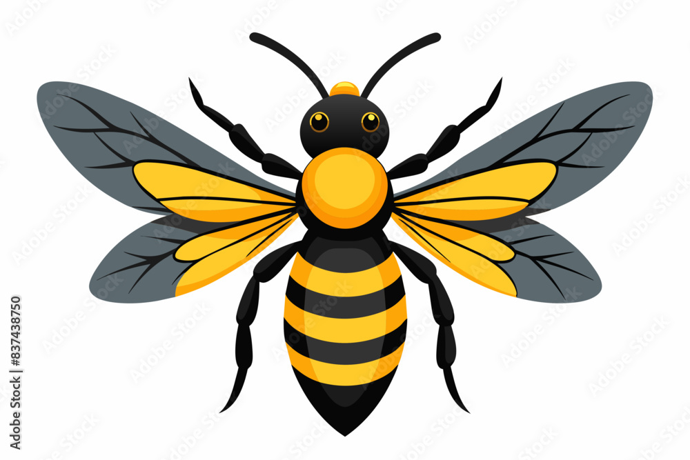 bee vector illustration bee vector illustration