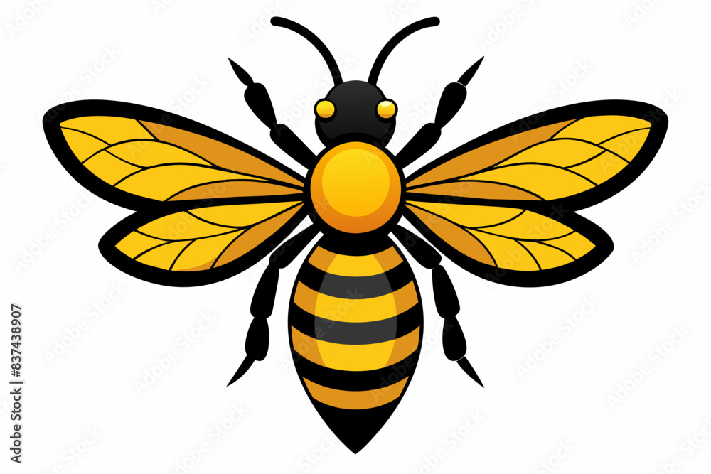 bee vector illustration bee vector illustration