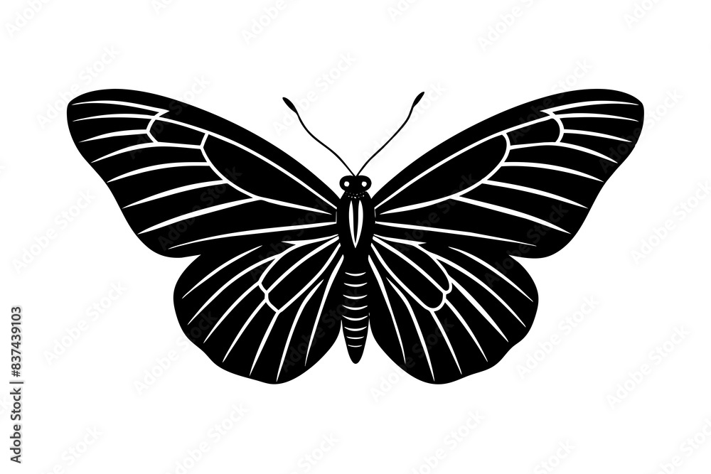 butterfly silhouette vector illustration butterfly silhouette vector illustration