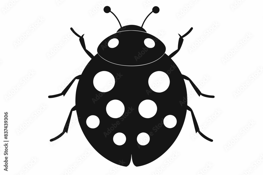 ladybird insect silhouette vector illustration