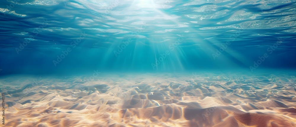 Fototapeta premium underwater scene with reef