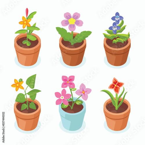 Illustration depicts six potted flowers, colorful blooming houseplants flowerpots. Isometric view variety plants, ideal gardening concept. Bright flowers, green leaves earthen pots indoor garden