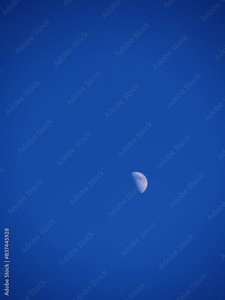 moon moon