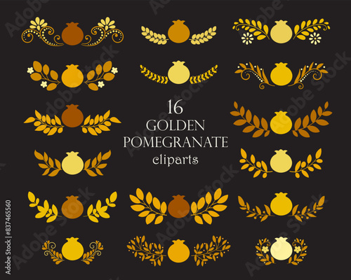 Golden pomegranate cliparts collection of isolaed vector elements photo