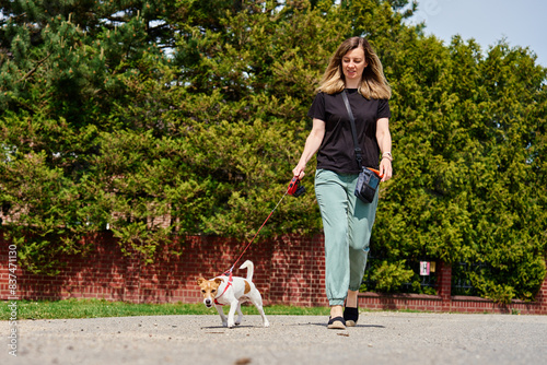 Dog walker and Jack Russell dog enjoy sunny day out on sidewalk. Female leads her dog at leash at street. Woman with her pet have fun at morning walking