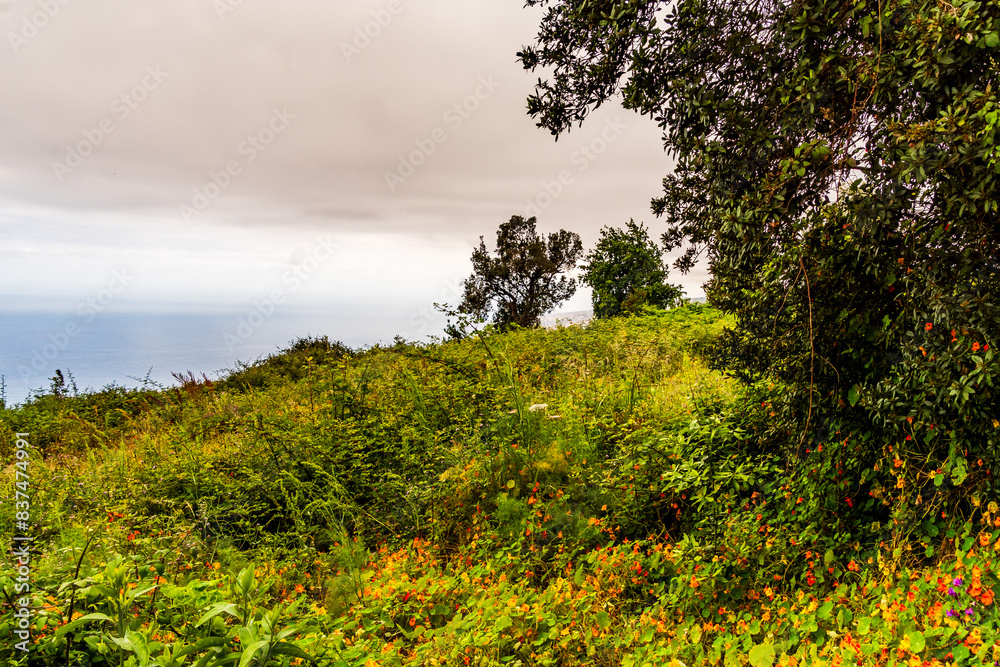 Obraz premium Paisaje en La Corujera en la isla de Tenerife.