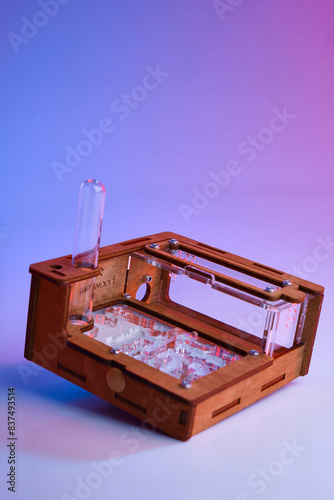ant farm, farm, neon, tree, ants, creativity, pool, room, green, home, school, game, design, interior, table, wood, house, color, sport