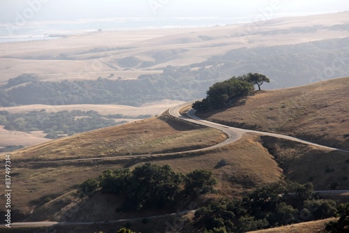 A winding road meanders through rolling hills, leading to the horizon where an expansive view of Northern California's serene landscape can be seen.