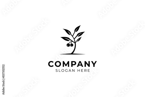 Olive tree logo. Extra virgin olive oil icon. Tree of life symbol. Flat silhouette vector Illustration design.