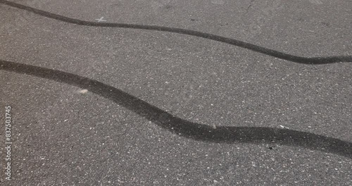 tire tracks during dangerous driving on the road , wheel streaks from sudden braking and drifting on an asphalt road