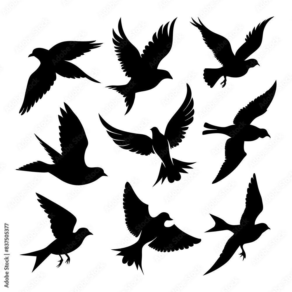 Fototapeta premium set of silhouettes of birds