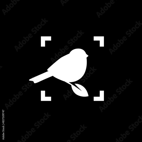 bird documentary photography modern logo design vector