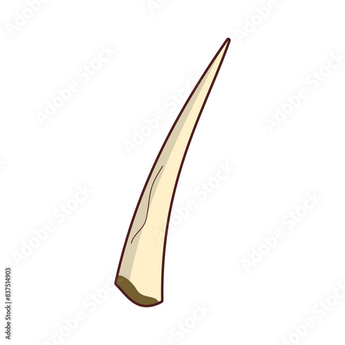 tusk for dynamic digital projects and designs.