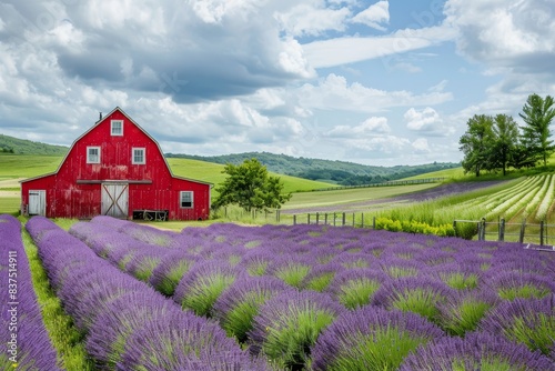Peaceful, rustic farmhouse with a red barn and fields of lavender stretching to the horizon generated by AI