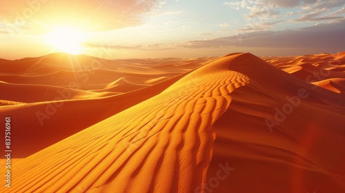 Sunlight in the Desert