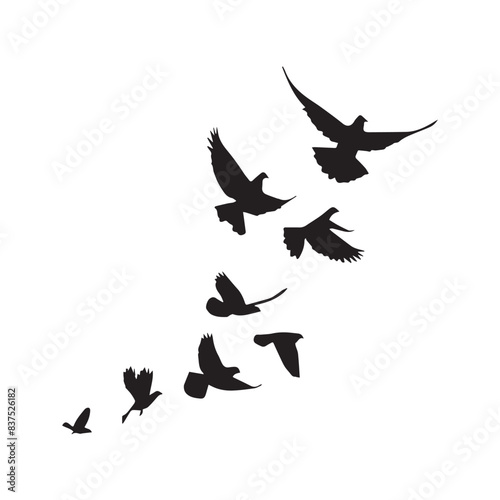 silhouettes of birds