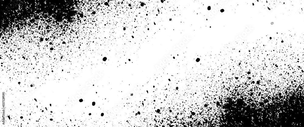 Obraz premium Vector abstract black on white grunge splatter background design
