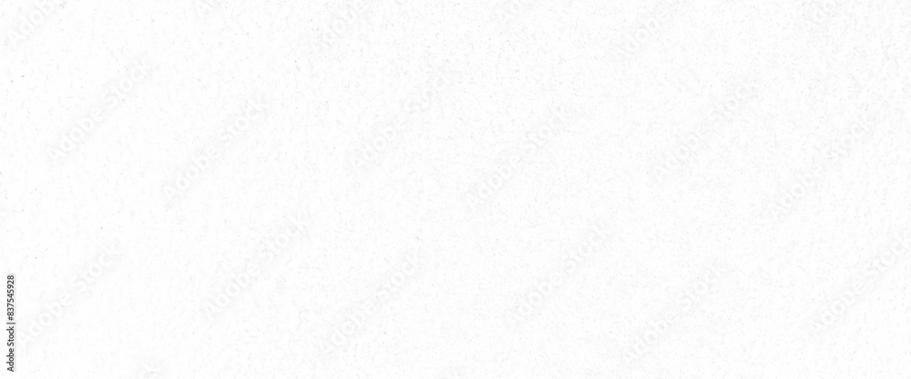 Fototapeta premium Vector white paint on surface white grunge texture design on cement floor texture and background.
