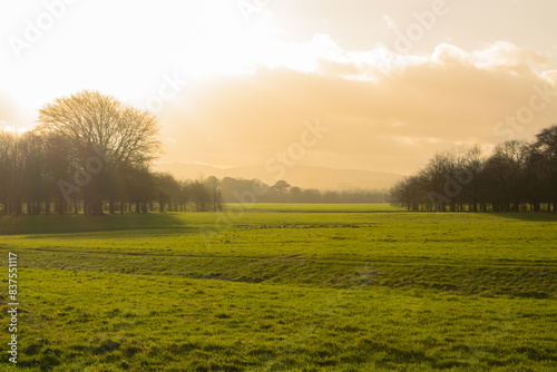 Canvas Print Phoenix Park in Dublin, Ireland on a misty, early morning during winter, with hazy orange sky at sunrise, and bare tree branches