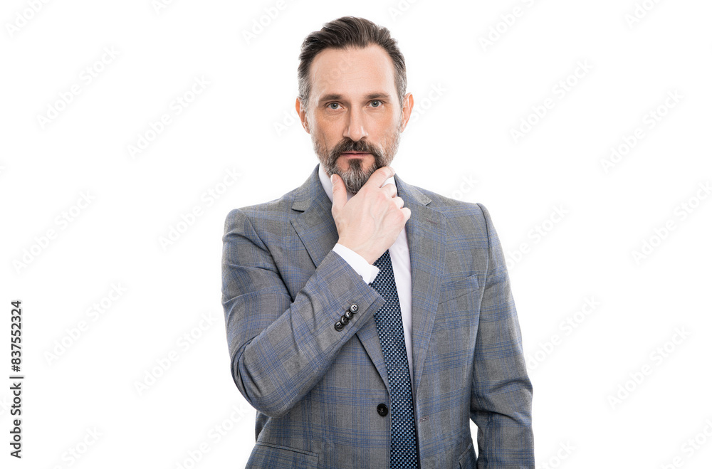 successful businessman man in office suit has business success is leader isolated on white successful businessman man in office suit has business success is leader isolated on white