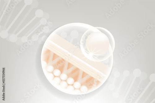 Hyaluronic acid and Niacinamide hair and skin solutions ad, white collagen serum drops into skin cell with cosmetic advertising background ready to use, illustration vector.	