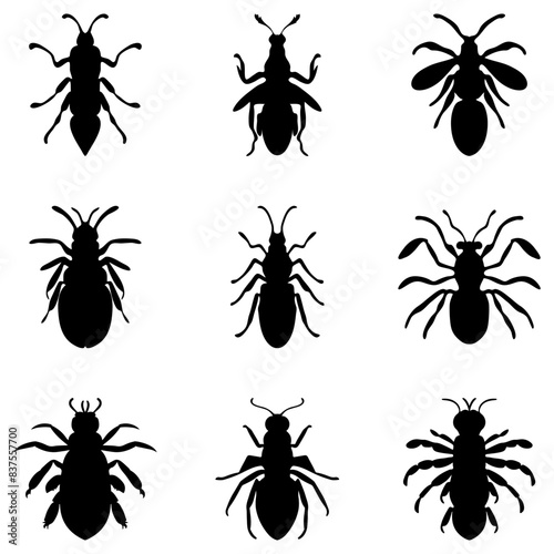 Simple insect illustration design set