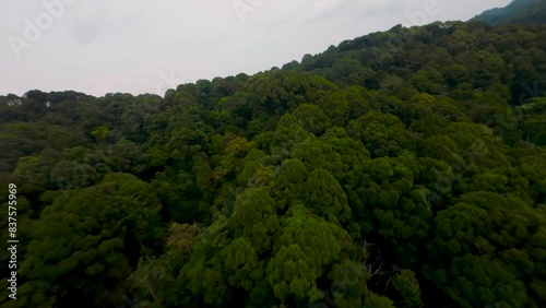 An aerial FPV establish shots over Rawang Serendah Highway or Rawang Bypass. A nature preserve green sustainable winding road Highway 2.7km length photo