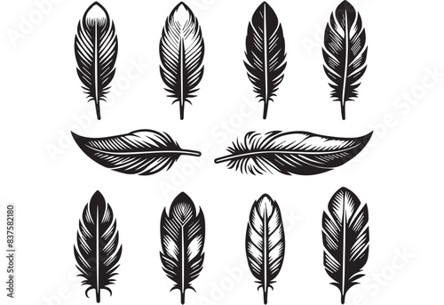 silhouette Feather Set icon type, distinct feather logo position, isolated on a white background