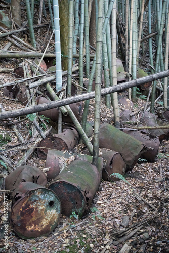 Wallpaper Mural 竹林への不法投棄
 Torontodigital.ca