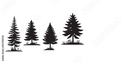 Various types of Vintage woodland pine trees with ground soil silhouette