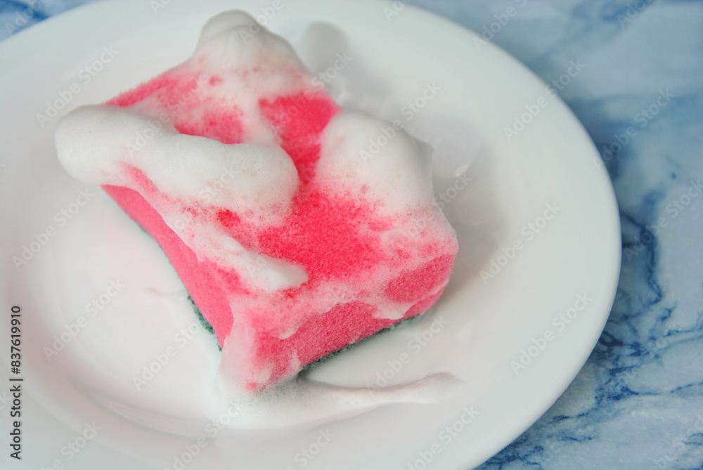 foam sponge for washing dishes with white foam on a white plate. close-up. selective focus. dishwashing concept foam sponge for washing dishes with white foam on a white plate. close-up. selective focus. dishwashing concept