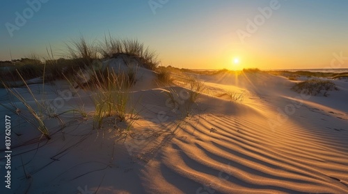 Scenic sunrise casting golden light and long shadows over the tranquil sand dunes 