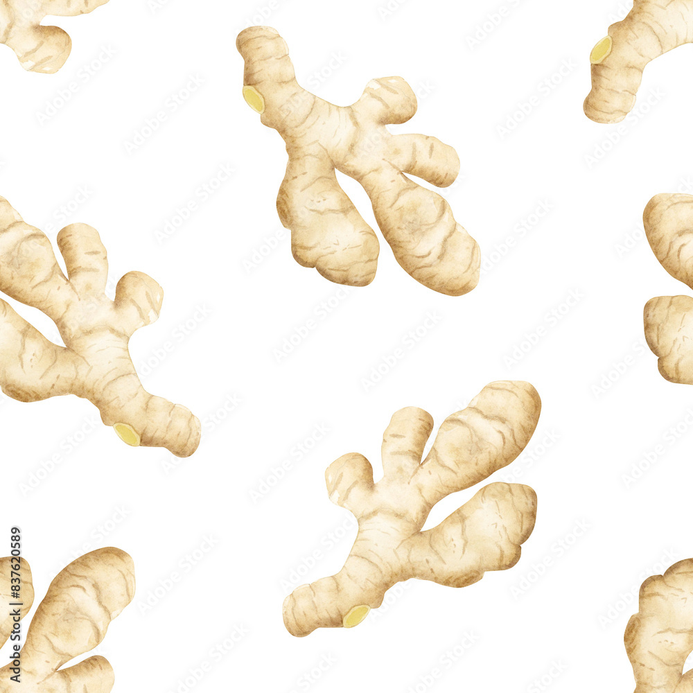 Ginger root simple watercolor seamless pattern on white. Hand drawn background with horseradish for kitchen textile, organic healthy food packaging, menu or herbal cosmetics Ginger root simple watercolor seamless pattern on white. Hand drawn background with horseradish for kitchen textile, organic healthy food packaging, menu or herbal cosmetics