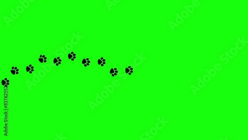 Paw footprint animation on green screen. Dog foot footage, Cat feet video, puppy pet footprint walk, Animated Animal foot print icon in 4k