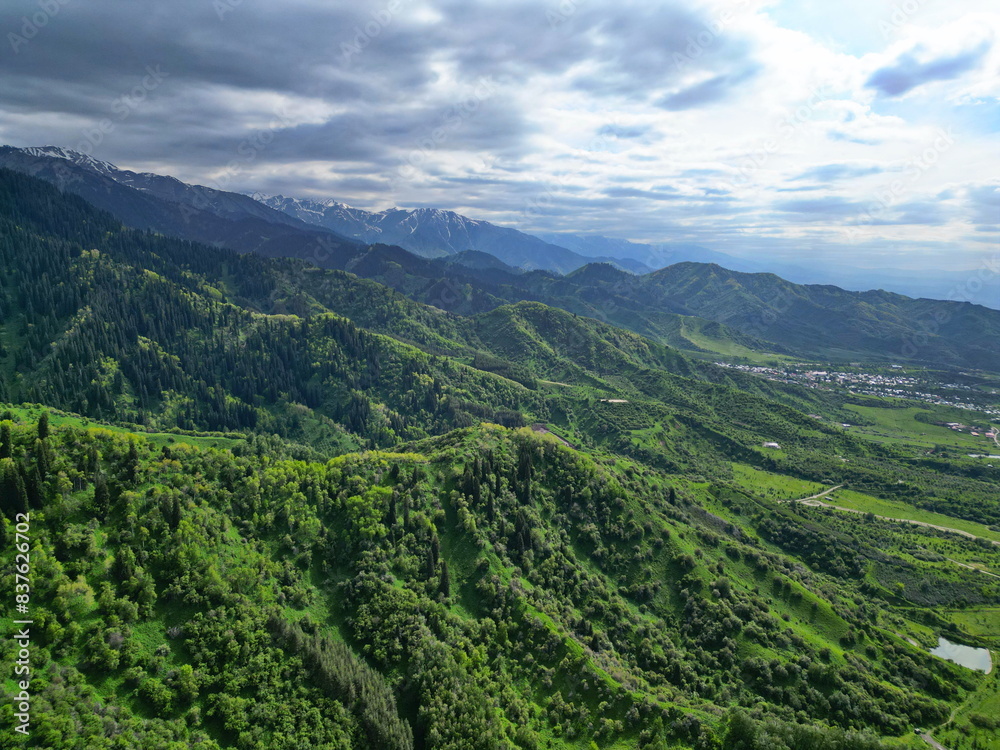 Fototapeta premium A mountainous area with different green vegetation. The view from the drone.