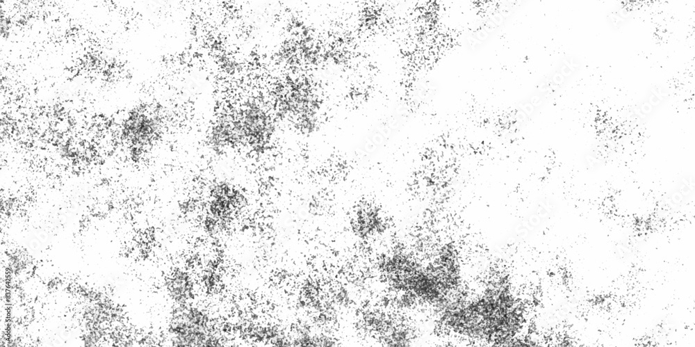 Abstract white and black texture of a grunge concrete wall with cracks and scratches background. distressed grunge concrete wall texture. abstract vintage of old surface texture background. Abstract white and black texture of a grunge concrete wall with cracks and scratches background. distressed grunge concrete wall texture. abstract vintage of old surface texture background.