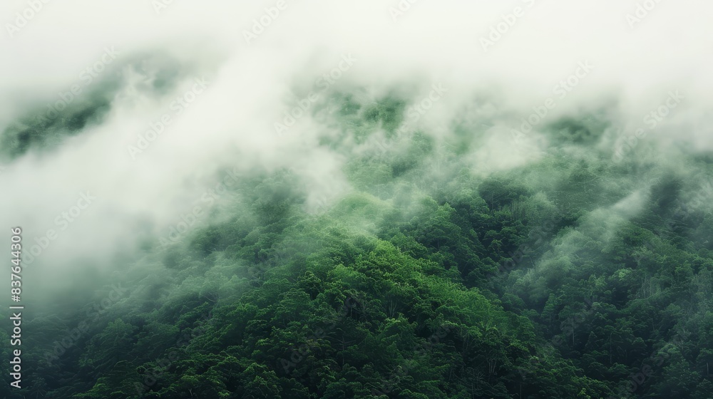  A mountain shrouded in fog and clouds, featuring a forest in the foreground and trees on the near side, while a few clouds populate the foreground as well