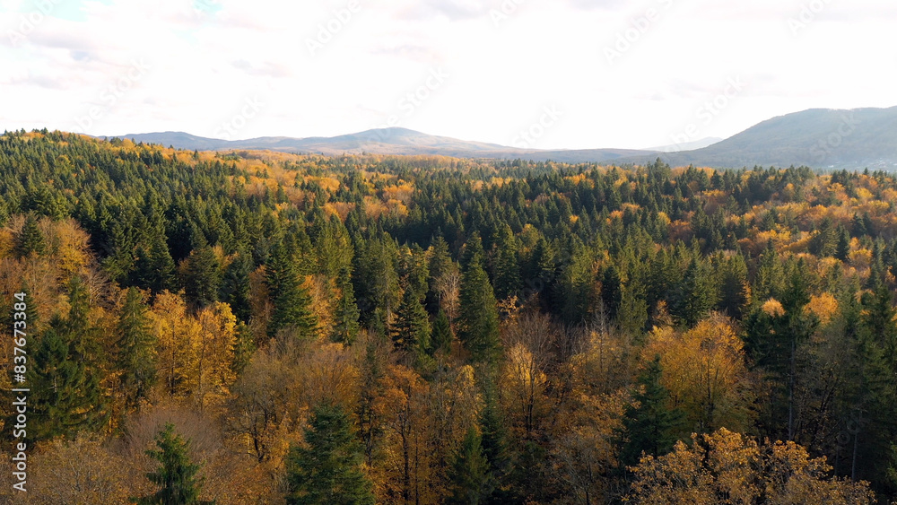 Beautiful aerial shot of sunny autumn season woods landscape. Beautiful aerial shot of sunny autumn season woods landscape.