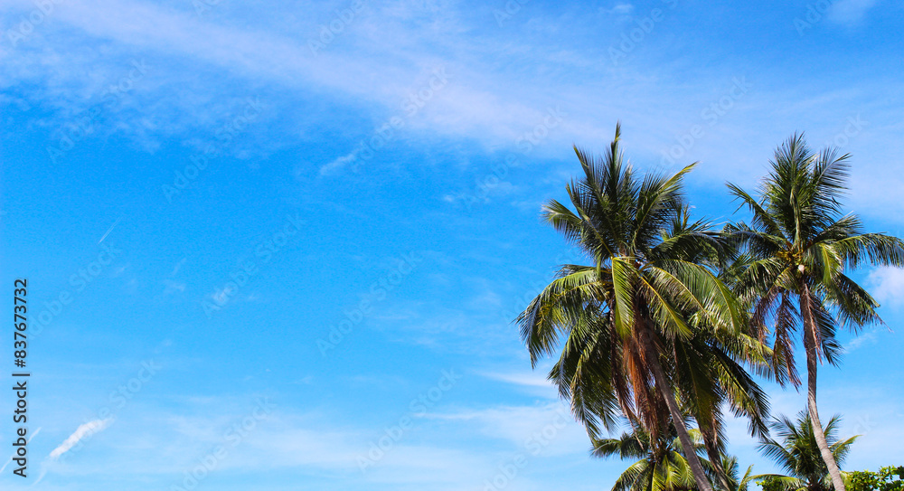 Photograph of palm trees lining a beautiful beach. Captures the tropical essence with clear blue skies and serene sandy shores. Photograph of palm trees lining a beautiful beach. Captures the tropical essence with clear blue skies and serene sandy shores.
