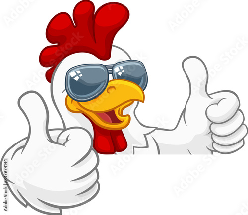 A chicken rooster cockerel bird cartoon character in cool shades or sunglasses peeking over a sign and giving a double thumbs up