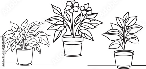 Tableau sur toile Continuous one line drawing of house plant in a pot